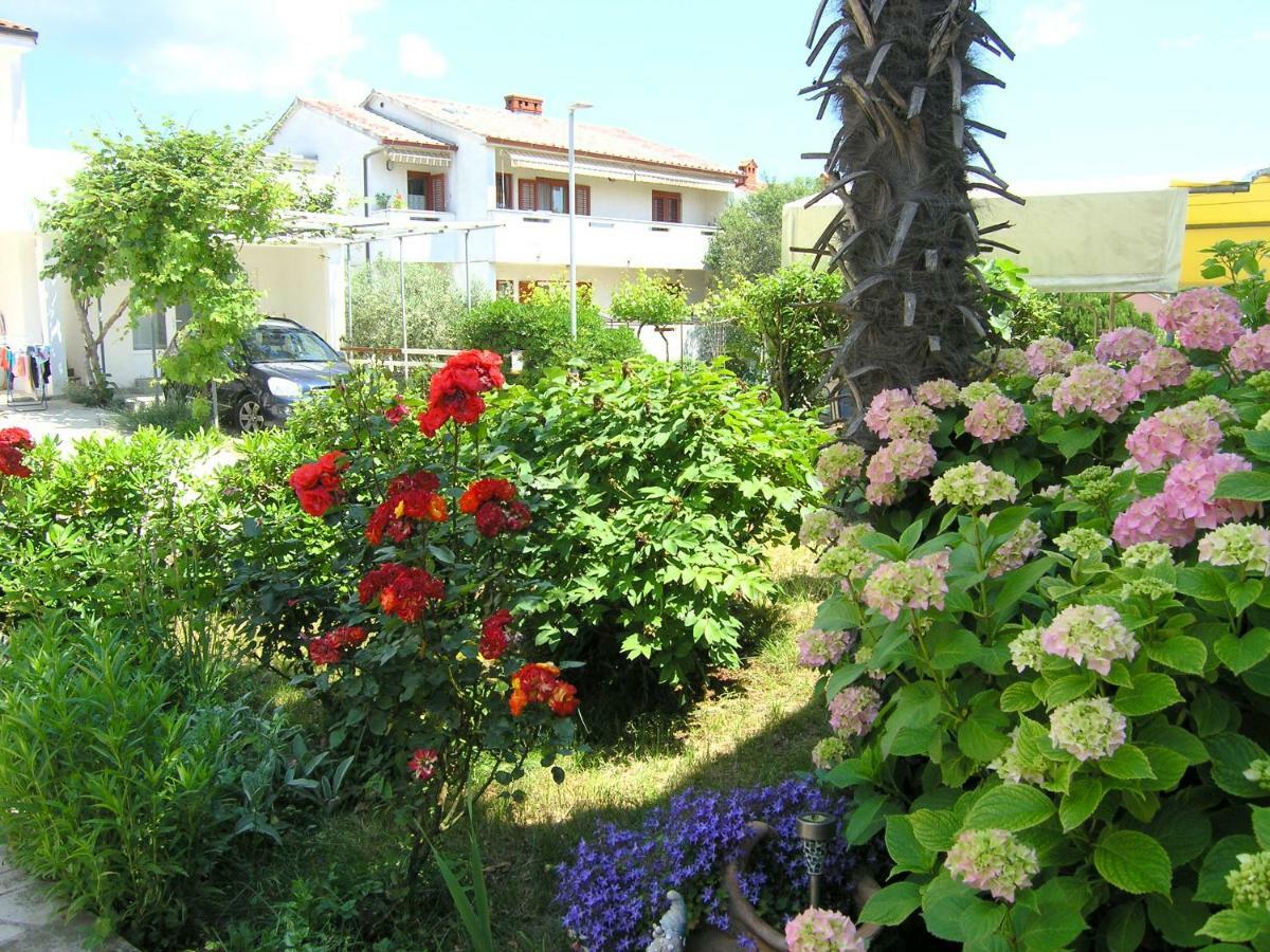 Apartmán Zora *
